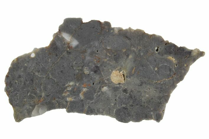 Lunar Meteorite Slice ( g) - NWA #360356